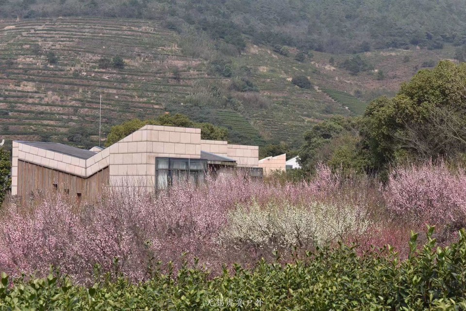 微信图片_20190311094234