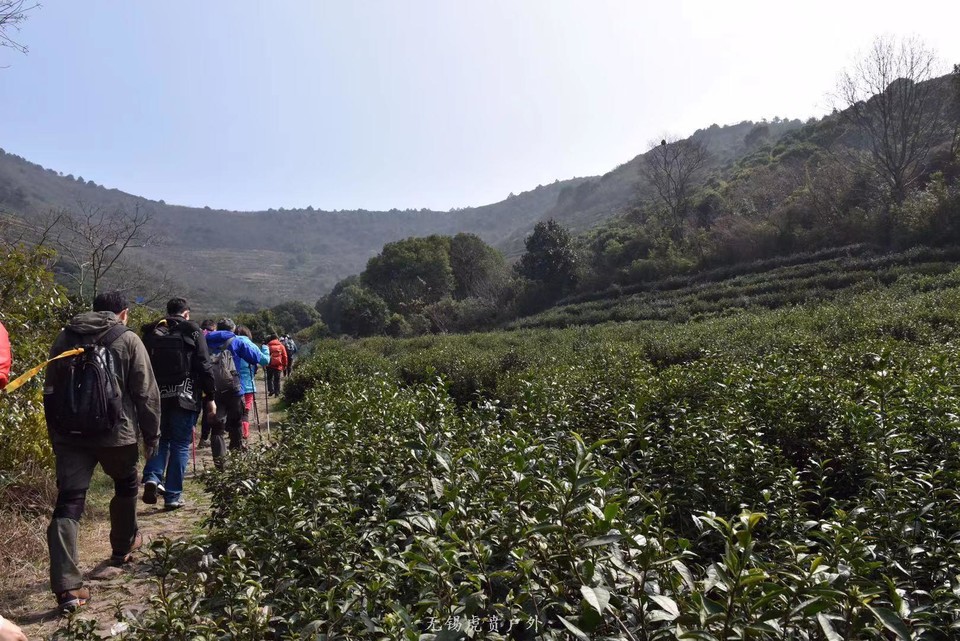 微信图片_20190311094241