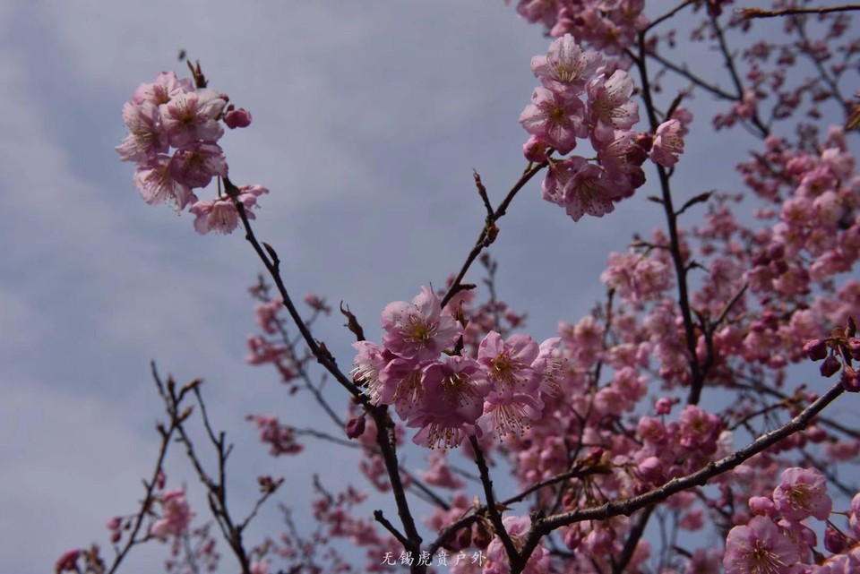 微信图片_20190311094244