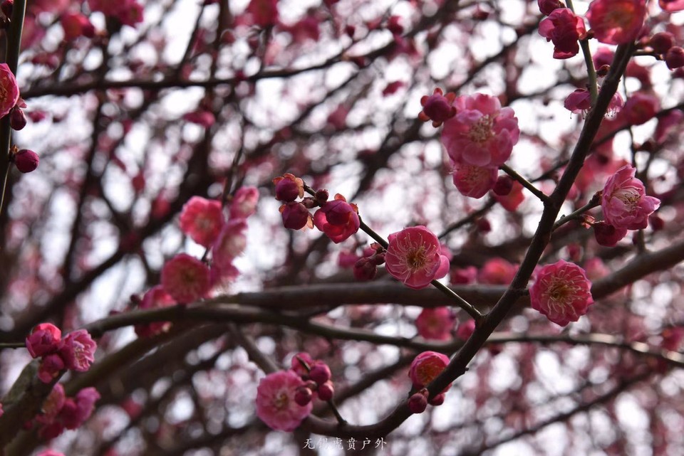 微信图片_20190311094249