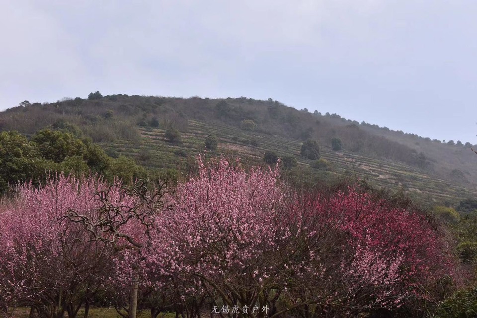 微信图片_20190311094644