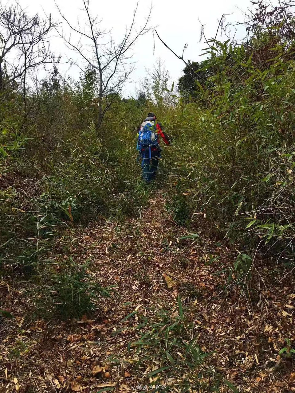 微信图片_20190311094651