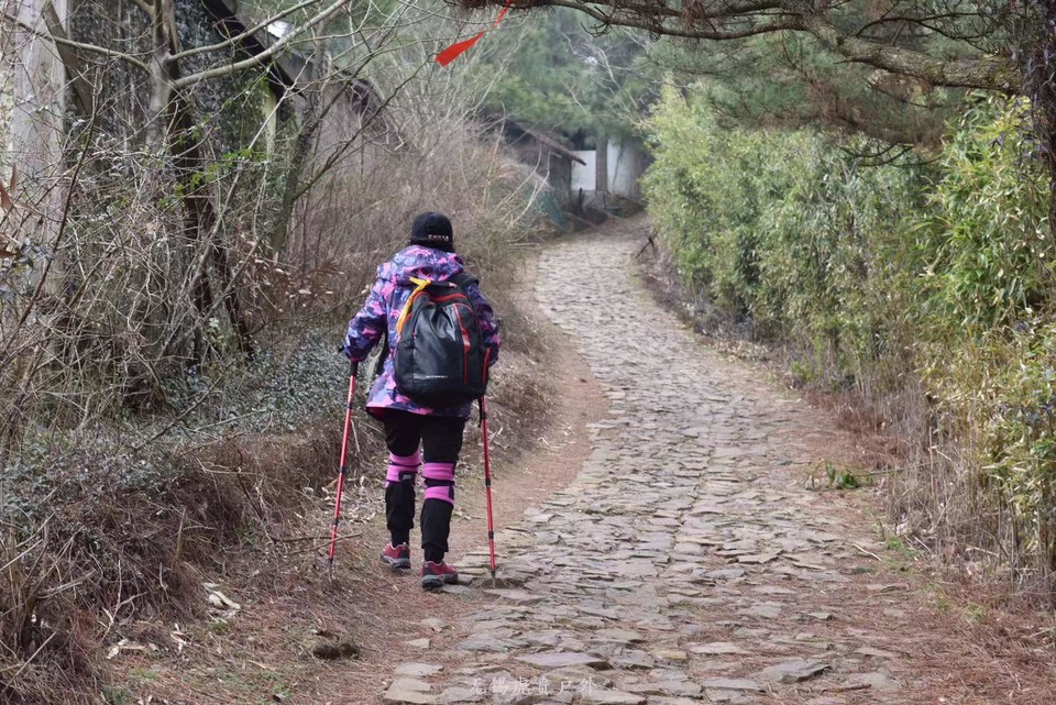 微信图片_20190311094656