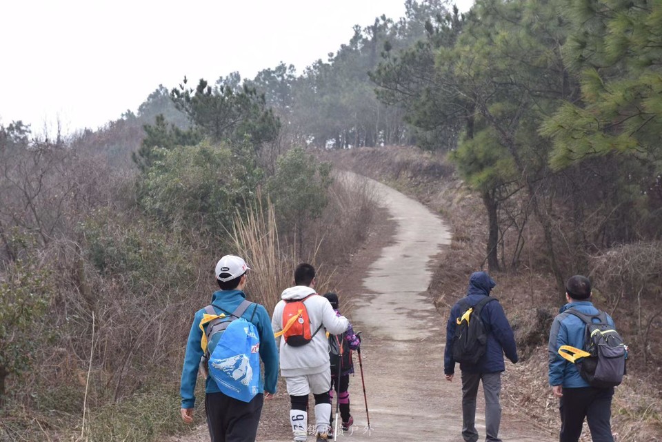 微信图片_20190311094659