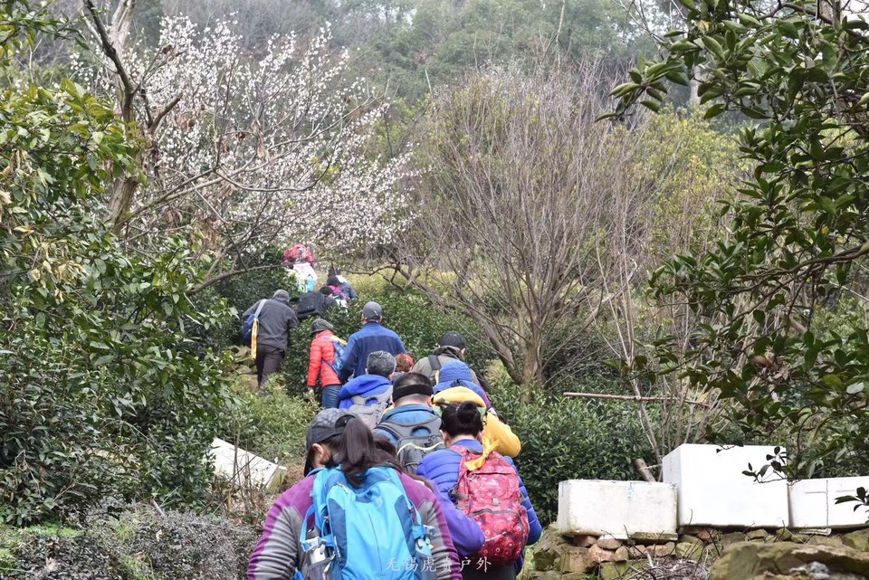 微信图片_20190311094704