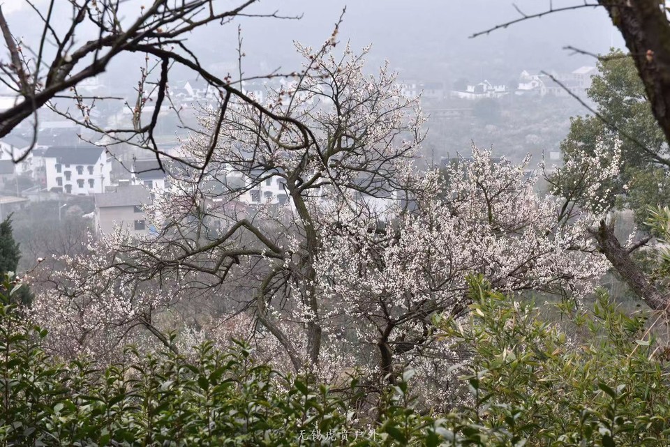 微信图片_20190311094707