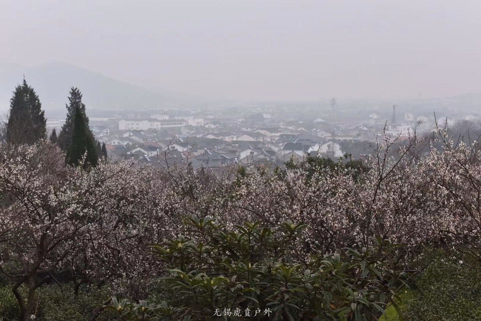 微信图片_20190311094709