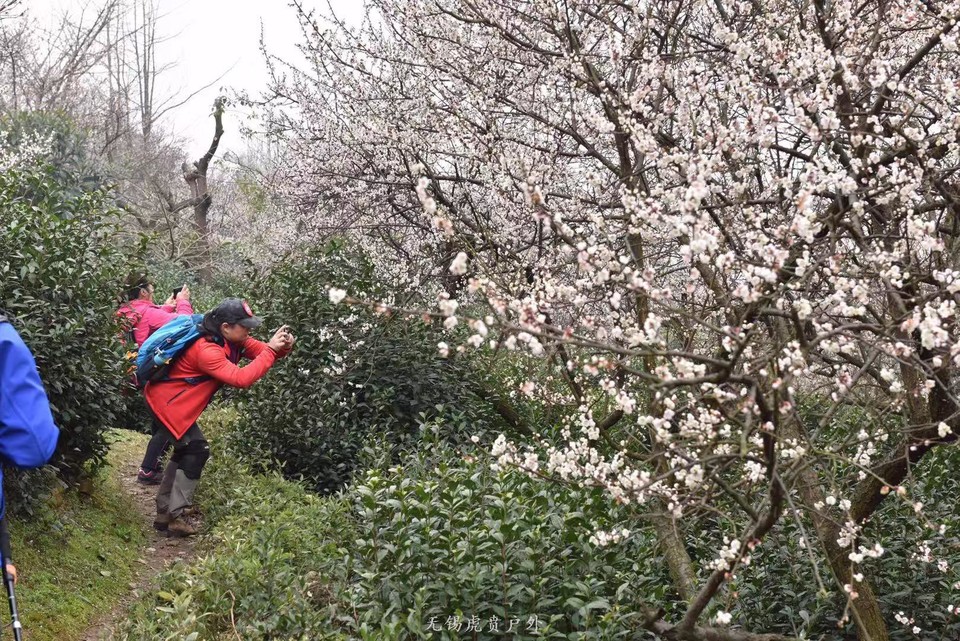 微信图片_20190311094714