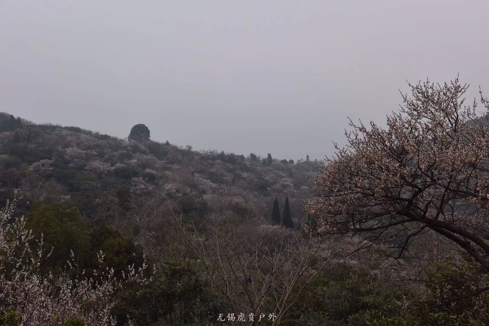 微信图片_20190311094720