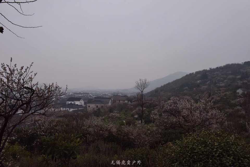 微信图片_20190311094722