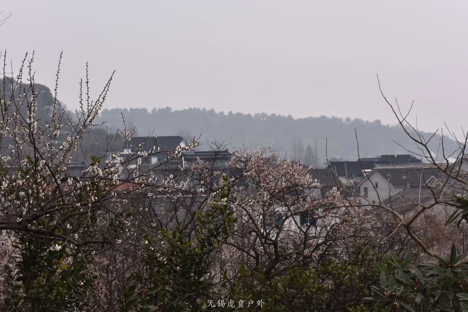 微信图片_20190311094724