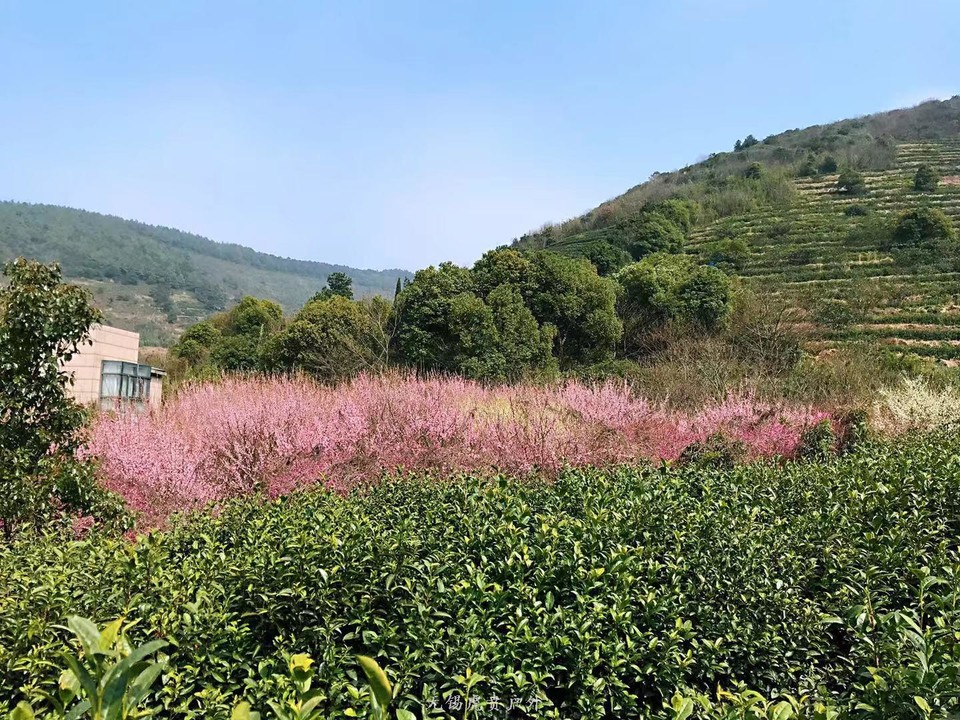 微信图片_20190311094734