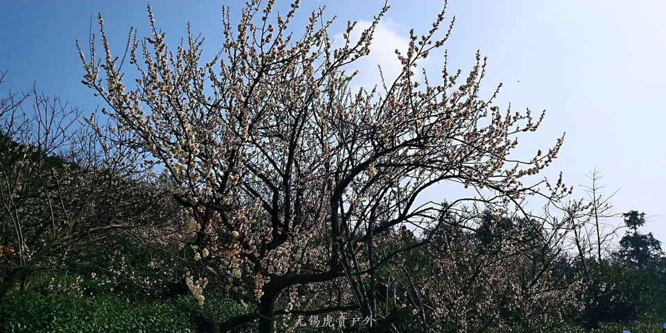 微信图片_20190311094736