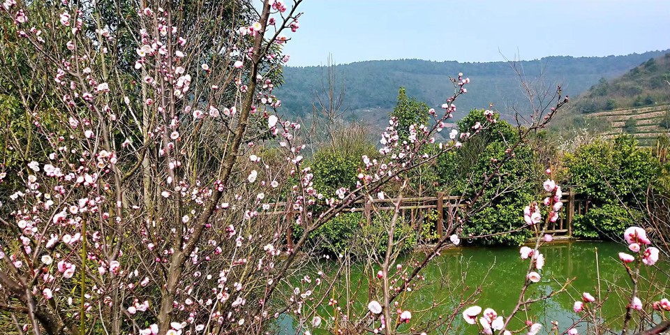 微信图片_20190311094739