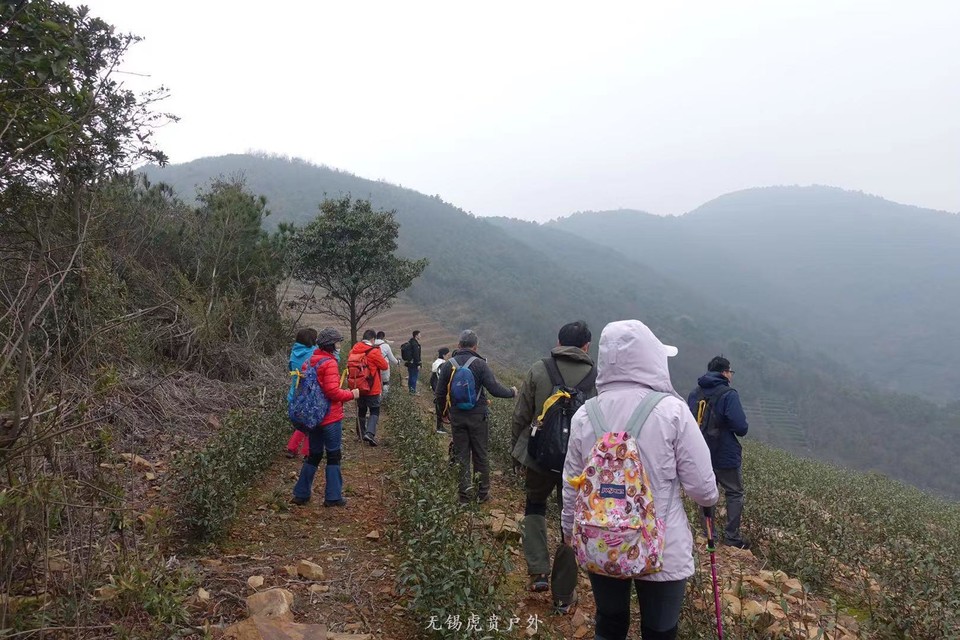 微信图片_20190311094742