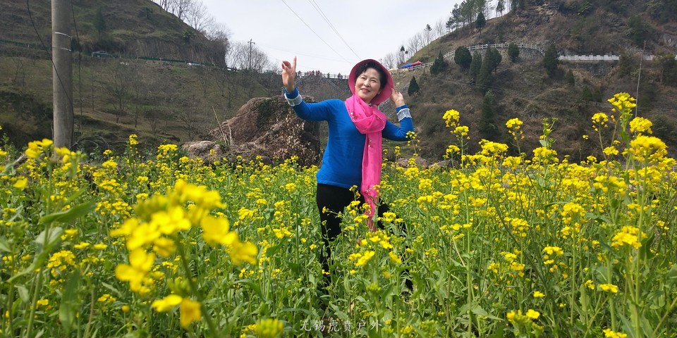 微信图片_20190316142433