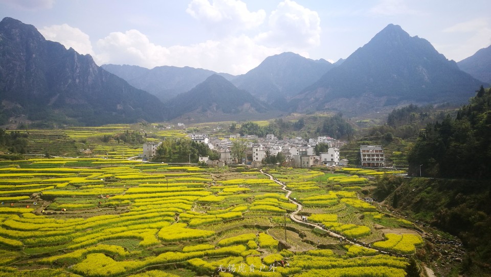 微信图片_20190316142513