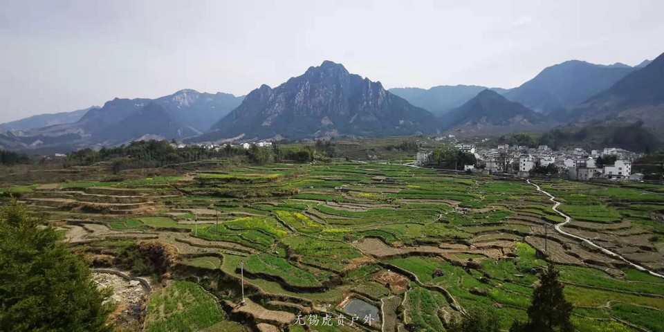 微信图片_20190316142637