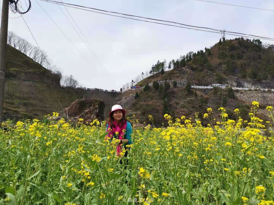 微信图片_20190316210414