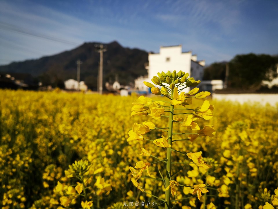 微信图片_20190317080110