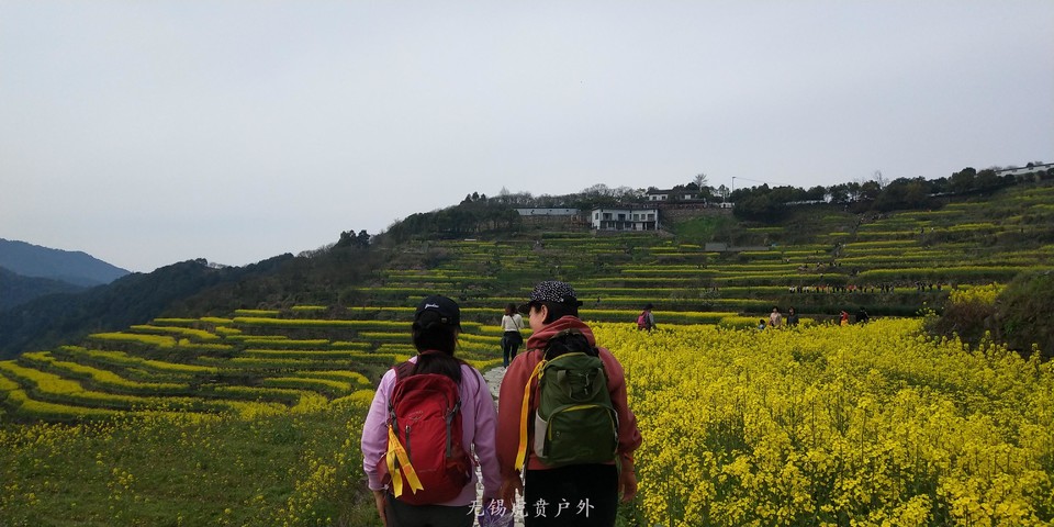 微信图片_20190324165943