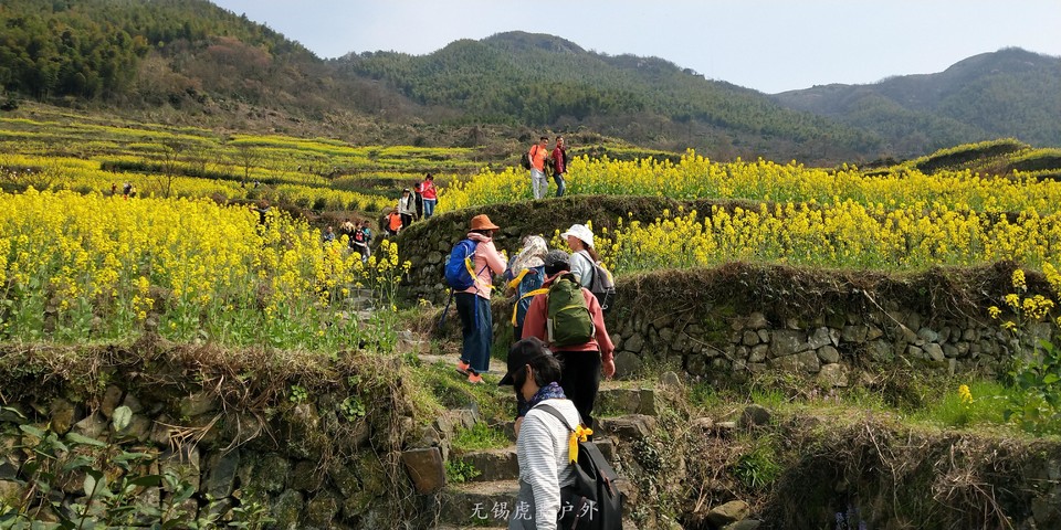 微信图片_20190324170037