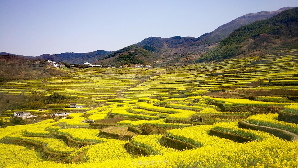 微信图片_20190324170118