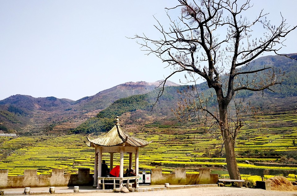 微信图片_20190324170125