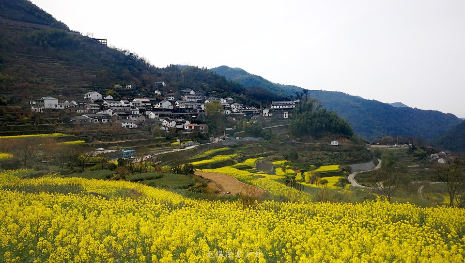 微信图片_20190324170129