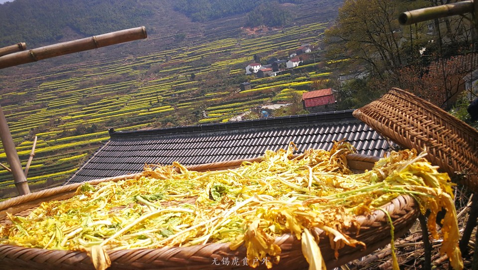 微信图片_20190324170154