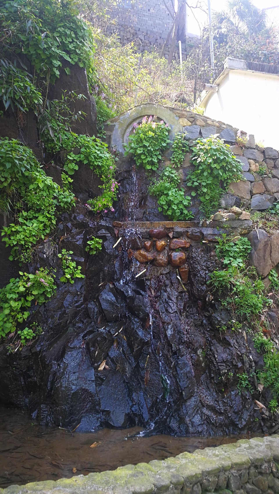 微信图片_20190324170209