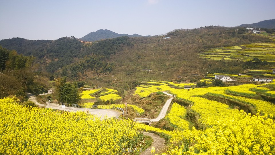 微信图片_20190324170225