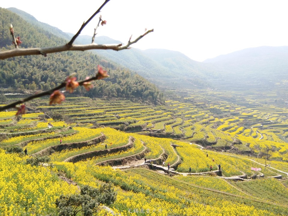 微信图片_20190324170237