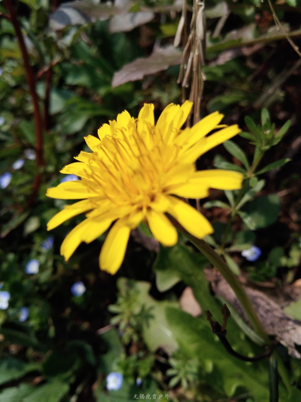 微信图片_20190324170243