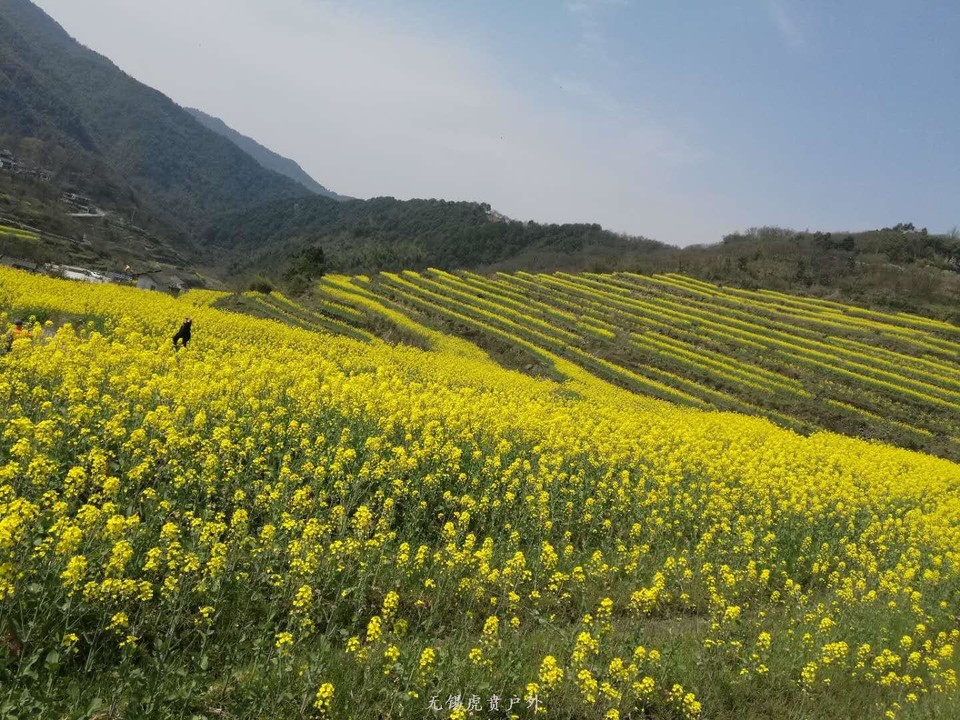 微信图片_20190324183806