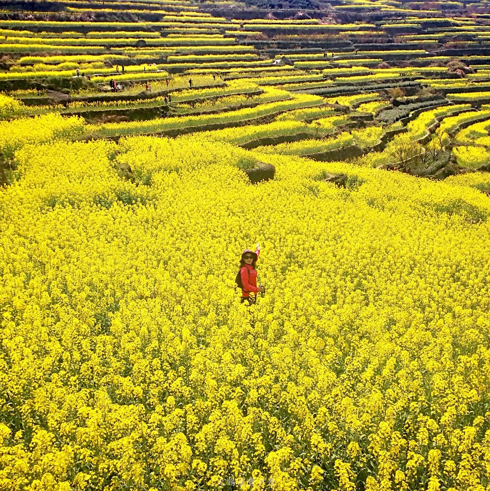 微信图片_20190324183800