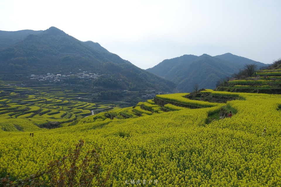 微信图片_20190325193113