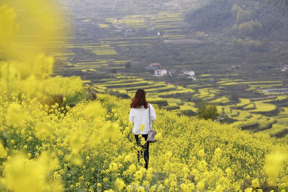 微信图片_20190330145233