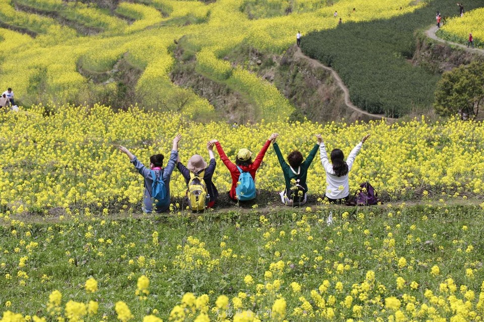 微信图片_20190330145242