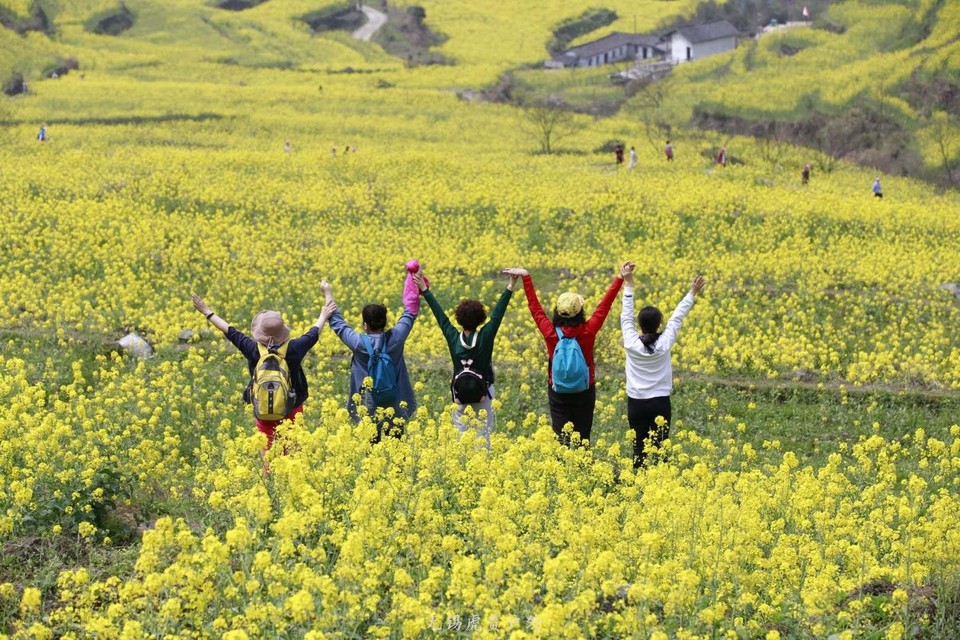 微信图片_20190330145245