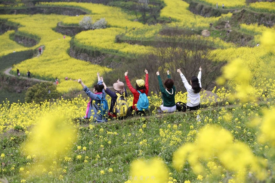 微信图片_20190330145248