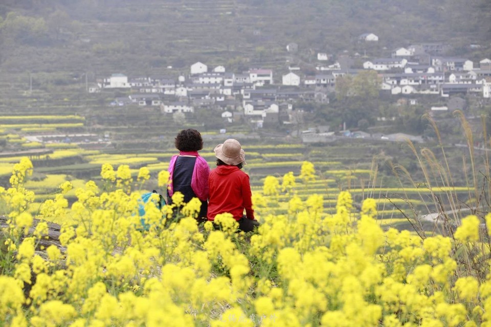 微信图片_20190330145254