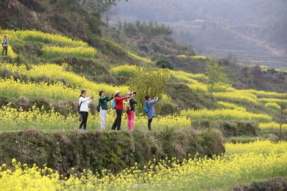 微信图片_20190330145257