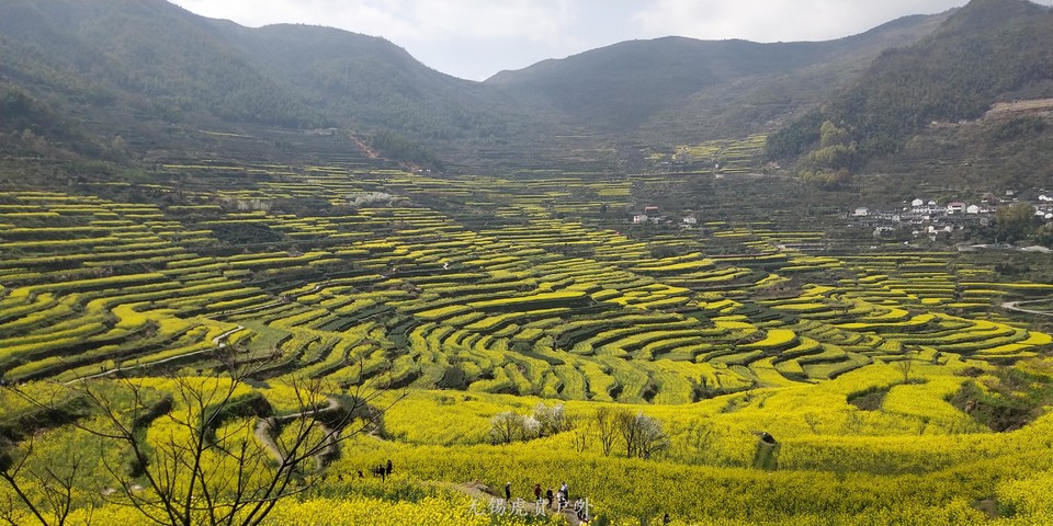 微信图片_20190330145353