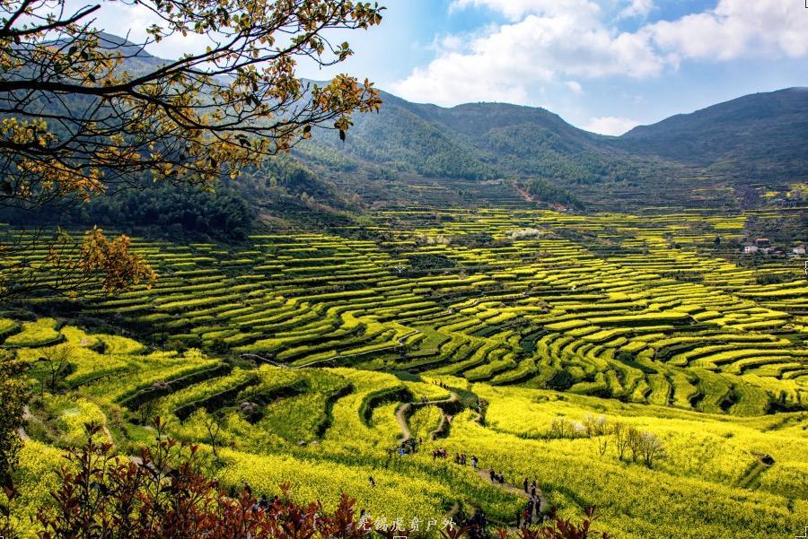 微信图片_20190330211326