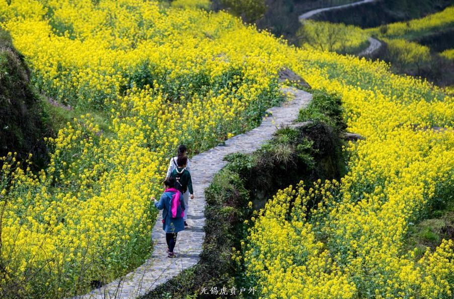 微信图片_20190330211341