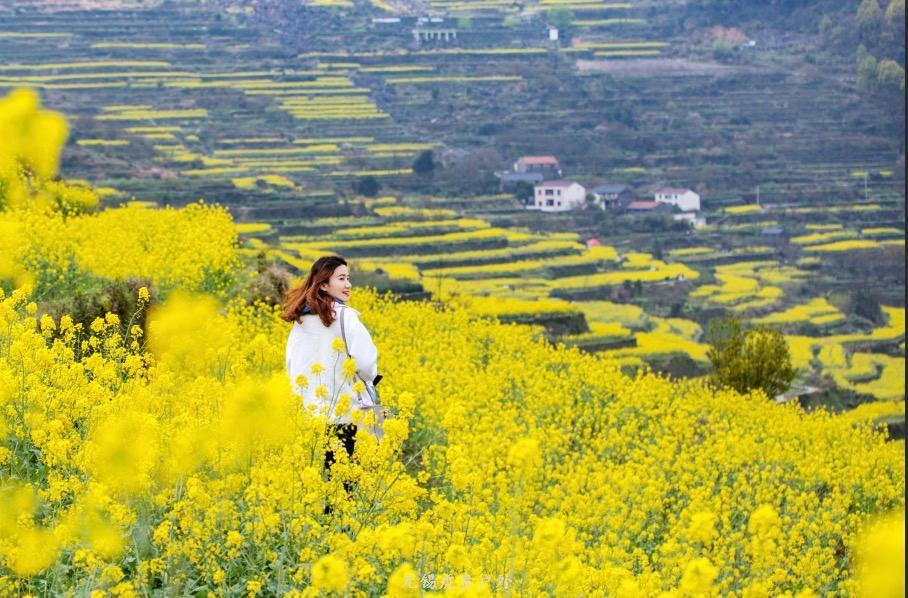 微信图片_20190330213144