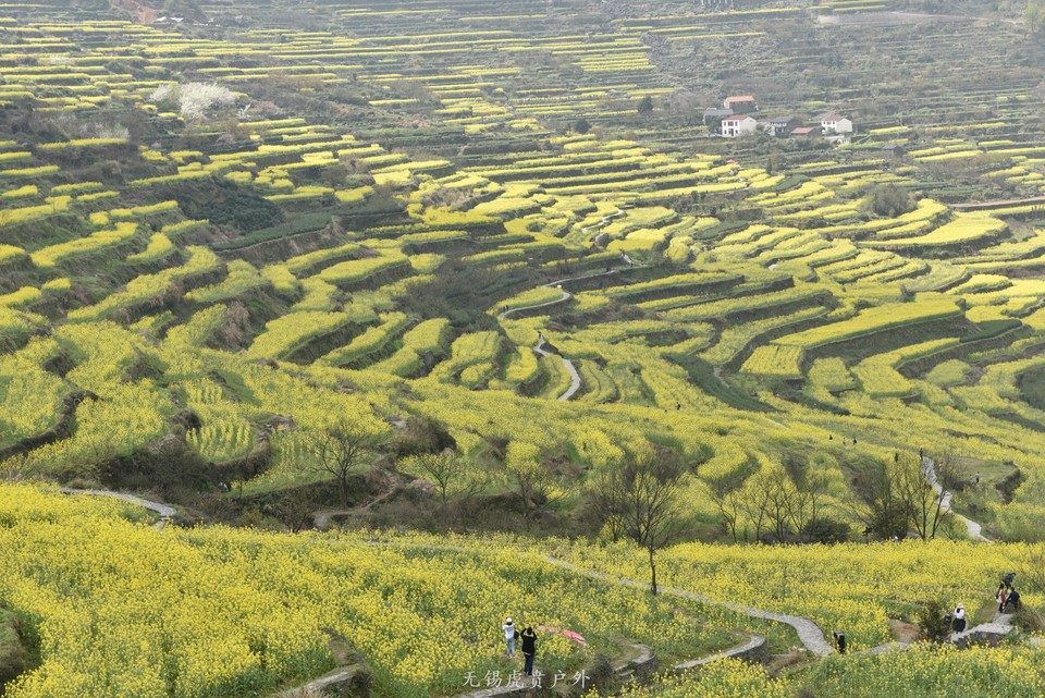 微信图片_20190330214847