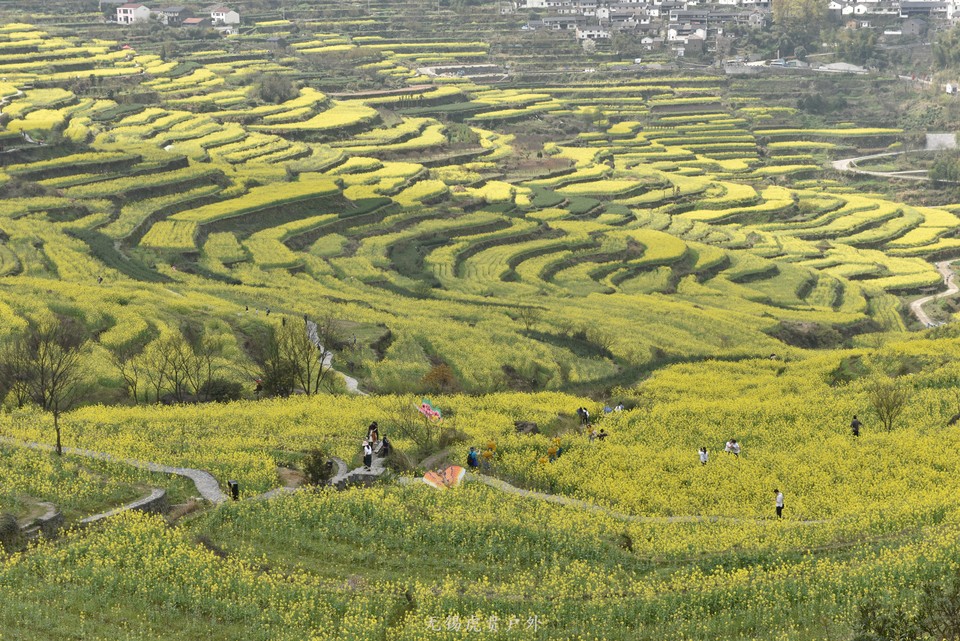 微信图片_20190330214904