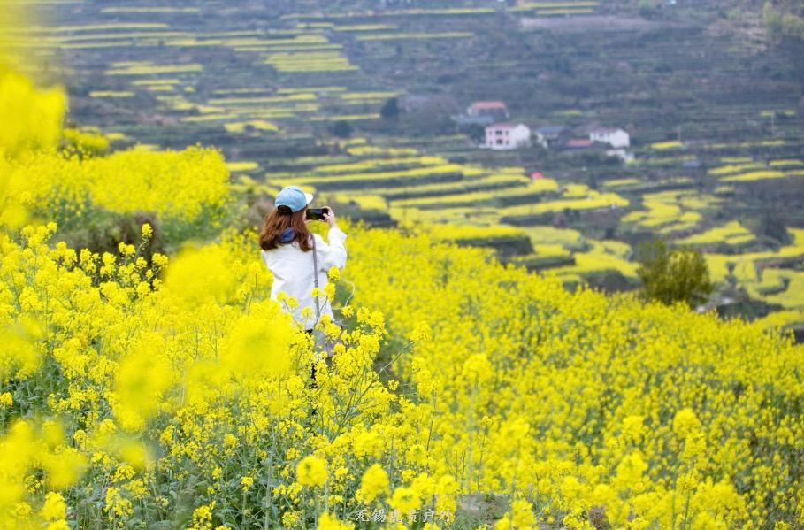 微信图片_20190330215135